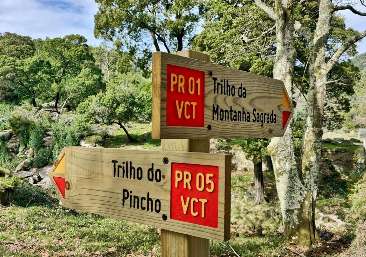 O Sossego Da Montaria Villa Viana do Castelo Kültér fotó